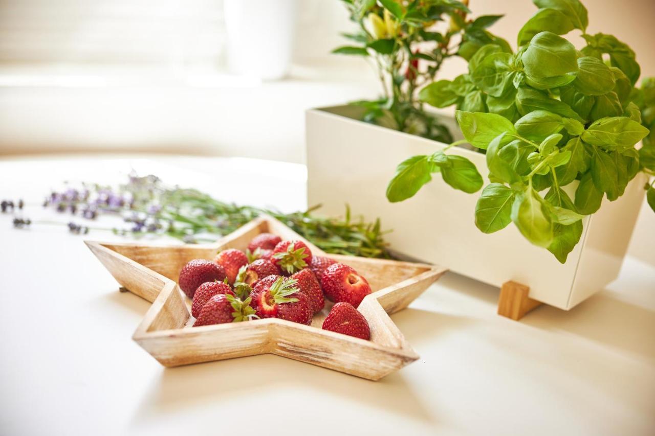 Apartmany Challupa Horní Maršov Dış mekan fotoğraf