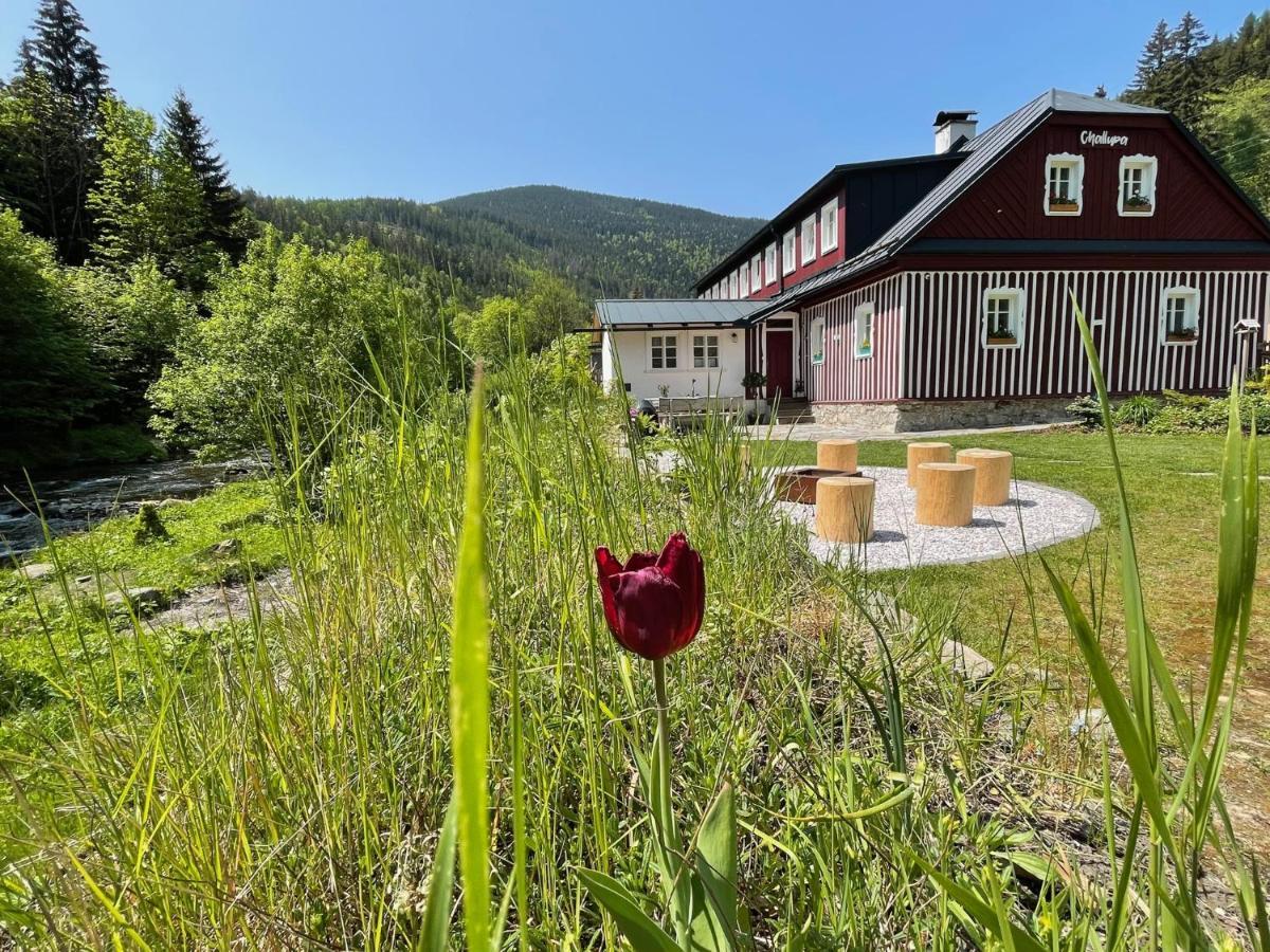 Apartmany Challupa Horní Maršov Dış mekan fotoğraf